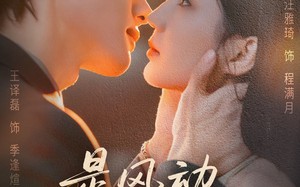 短剧《是风动也是心动（60集）》精彩短剧免费在线赏