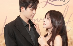 短剧《真心不可理喻（81集）》短剧完整版在线免费看