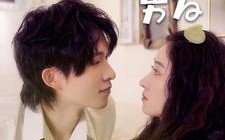 短剧《我的猫系男友（24集）》短剧在线全集免费享