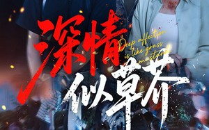 短剧《深情似草芥（51集）》短剧免费高清全集观看