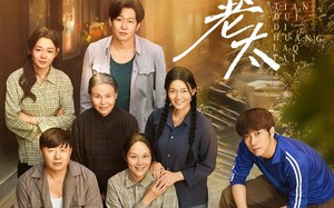 短剧《怼天怼地黄老太（60集）》短剧免费高清全集看