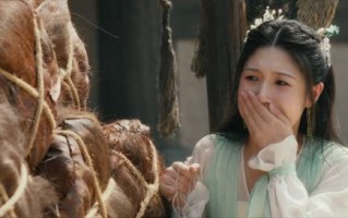 短剧《云天悬明月（24集）》高清短剧在线速看