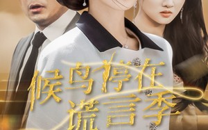 短剧《候鸟停在谎言季（45集）》免费短剧全集畅快追