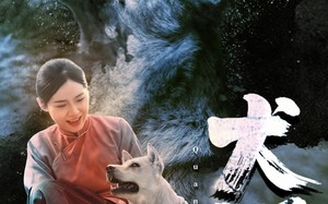 短剧《犬咒（45集）》免费短剧完整版在线赏