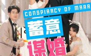 短剧《蓄意谋婚（30集）》热门短剧在线免费看