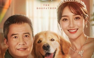 短剧《再世缘（41集）》免费短剧全集高清畅播