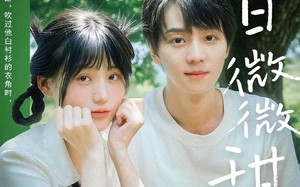 短剧《夏日微微甜（79集）》高清短剧在线观看无广告