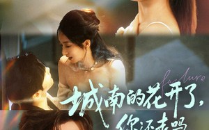 短剧《城南的花开了，你还走吗（84集）》短剧完整版免费畅享