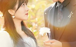 短剧《你是我的木槿年华（80集）》短剧免费高清全集观