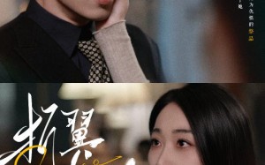 短剧《折翼栖光（43集）》短剧在线免费看全集