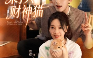 短剧《我家来了只财神猫（80集）》精彩短剧免费全放送