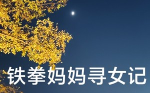 短剧《铁拳妈妈寻女记（69集）》短剧全集免费畅享