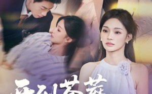 短剧《开到荼蘼，花事终了（77集）》短剧无删减版免费观看