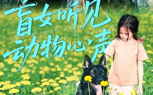 短剧《盲女听见动物心声（61集）》短剧免费全集畅快看