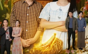 短剧《真假福星（66集）》优质短剧完整版在线看