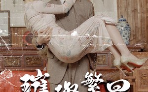 短剧《璀璨繁星&风华绝代（80集）》免费短剧全集随心观