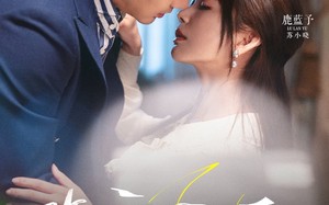 短剧《昨夜风雨（63集）》优质短剧全集在线播