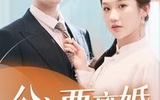 短剧《公主要离婚（77集）》全集短剧免费畅快观