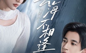 短剧《云海不相逢（62集）》热门短剧高清全集观看