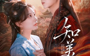 短剧《知美人（81集）》超火短剧全集畅快看