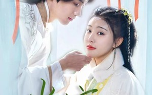 短剧《傻子王爷娇宠妃&当家（50集）》爆款短剧在线高清看