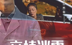 短剧《亲情迷雾（30集）》短剧高清全集免费看