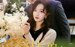 短剧《季社长的小蔷薇绽放了（60集）》短剧全集在线免费收看