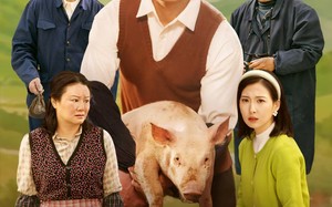 短剧《我教村民养猪仔（30集）》短剧全集免费畅享