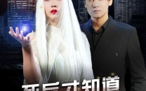 短剧《死后才知道老婆是大佬（87集）》短剧全集免费在线赏