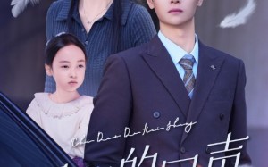 短剧《迟到的回声（75集）》优质短剧在线免费追