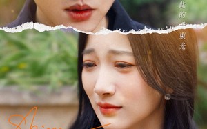 短剧《再见谢随（30集）》短剧热播免费随心看