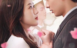 短剧《报告苏秘书，傅总想上位（96集）》优质短剧免费全集在线播