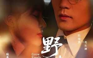 短剧《野芳菲（60集）》短剧免费畅看完整版