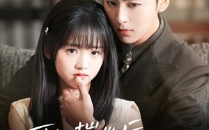 短剧《小可怜揣崽后被霍爷宠上天（83集）》超火短剧免费在线追