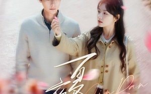 短剧《夏夜尽染（80集）》短剧免费畅享完整剧情