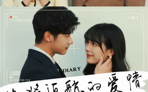 短剧《终将返航的爱情（66集）》短剧完整版免费畅享