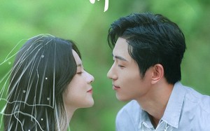 短剧《非婚不可（65集）》短剧免费完整版观看