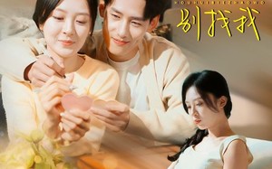 短剧《离婚你作的后悔别找我（30集）》短剧免费在线全览