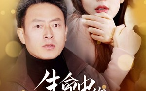 短剧《生命中的不期而遇（35集）》短剧全集免费在线品