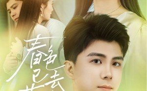 短剧《春色已去落花雨（55集）》短剧高清全集免费观