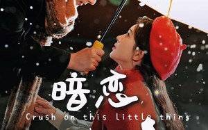 短剧《暗恋这件小事（100集）》爆款短剧在线免费追