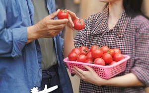 短剧《春草向阳而生（53集）》精彩短剧完整版免费观