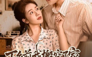 短剧《下乡前我搬空了家举报了他（80集）》短剧高清免费全集追