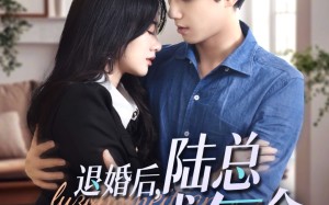 短剧《退婚后，陆总每天求复合（71集）》免费短剧完整版畅观