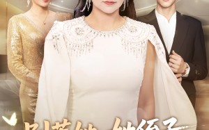 短剧《别惹她她侄子是超级妈宝（45集）》免费短剧高清全集观