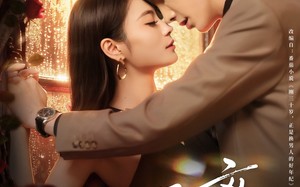 短剧《三十而离（81集）》热门短剧全集免费赏