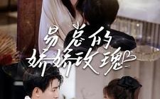 短剧《易总的娇娇玫瑰（96集）》优质短剧免费全集畅播