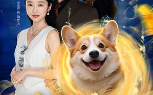 短剧《萌犬上仙，坏男人退散指南（34集）》热门短剧全集免费观看