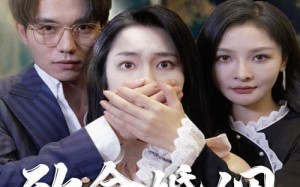 短剧《致命婚姻之新生（30集）》免费短剧高清全集观