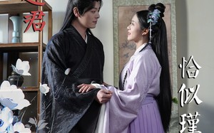 短剧《岁岁逢君恰似瑾（100集）》短剧全集免费在线赏